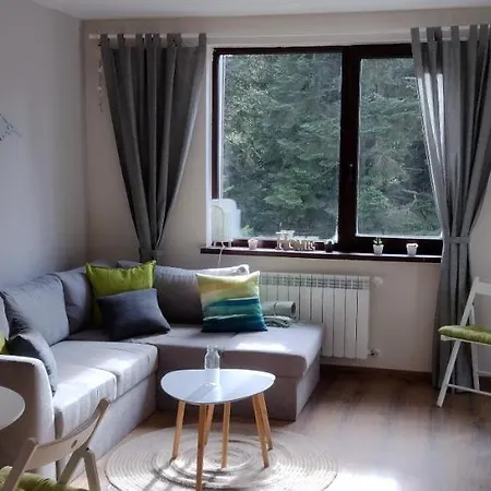 Pine Tree / Gardens Boroveț