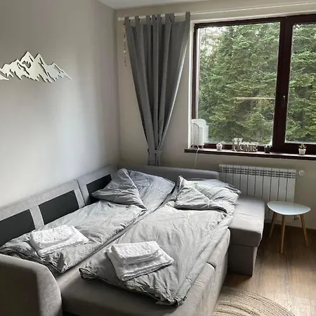 Apartament Pine Tree / Gardens Boroveț