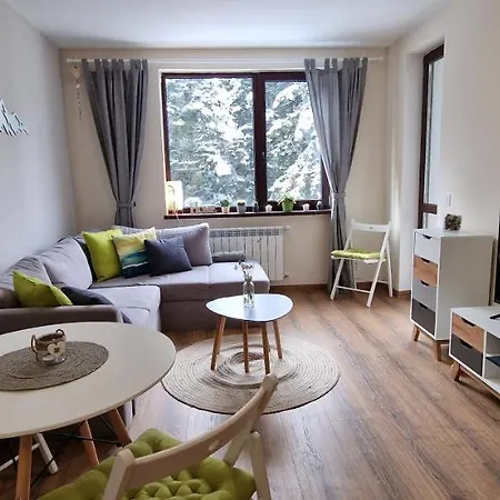 Pine Tree / Gardens *