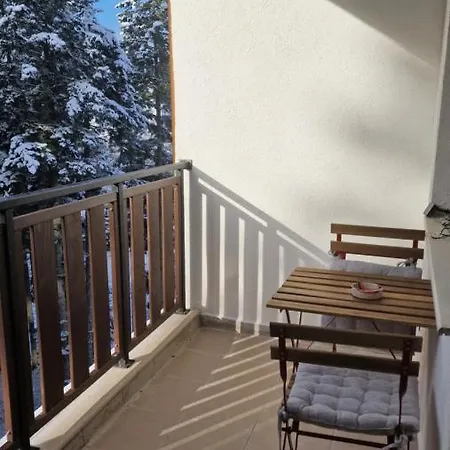 Pine Tree / Gardens Daire