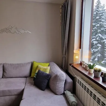 Pine Tree / Gardens Borovets