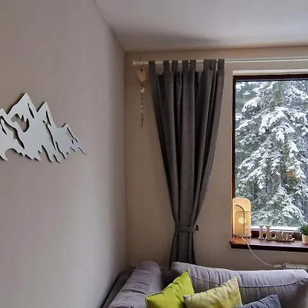 Pine Tree / Gardens Boroveț