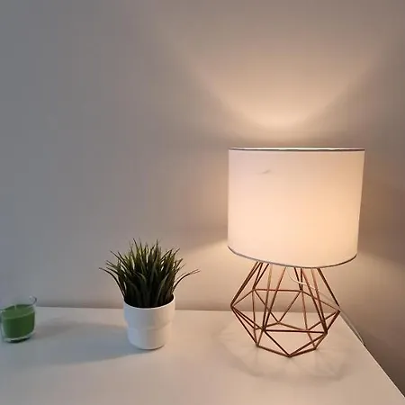 Pine Tree / Gardens Boroveț