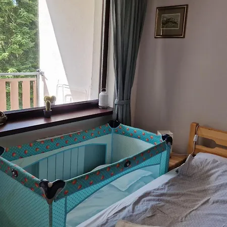 Pine Tree / Gardens * Borovets