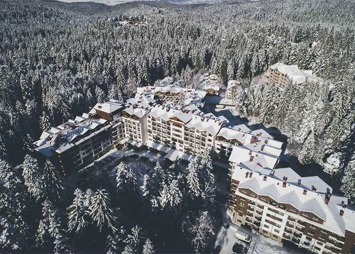 Pine Tree / Gardens Borovets