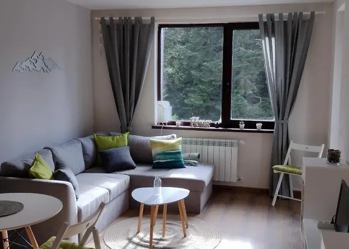 Pine Tree / Gardens Borovets