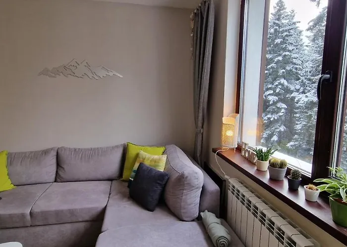 Pine Tree / Gardens Borowec