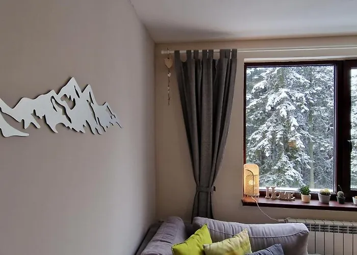 Pine Tree / Gardens Borovets