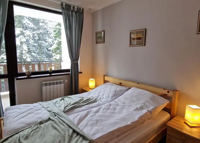 Pine Tree / Gardens Apartament Borowec